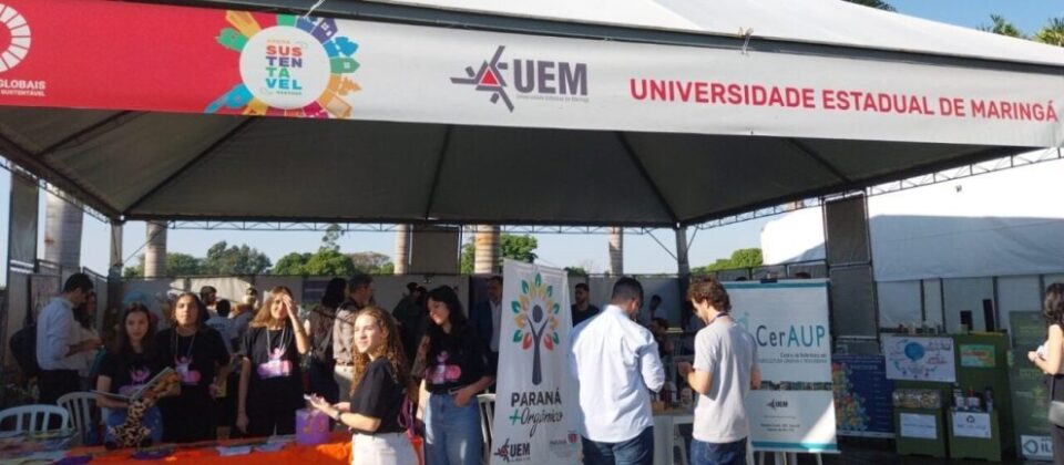 Confira a Programação do Segundo Dia de Evento em Maringá