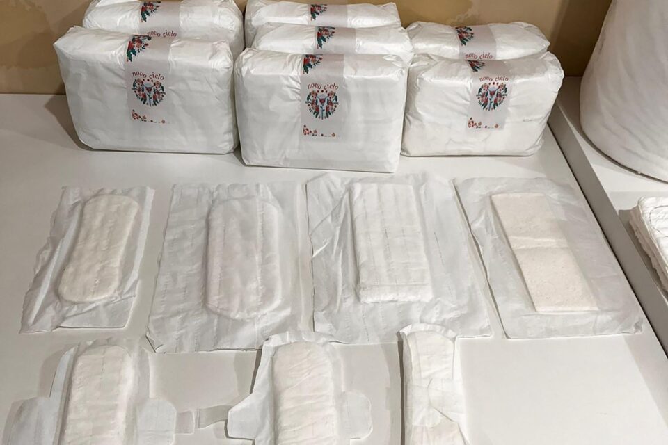 Fábrica de Absorventes Inaugurada em Unidade Prisional