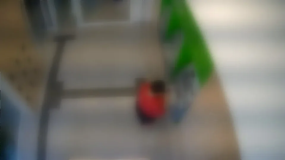 Jovem Desvia R$ 179 Mil do Avô para Jogo Online e é Presa