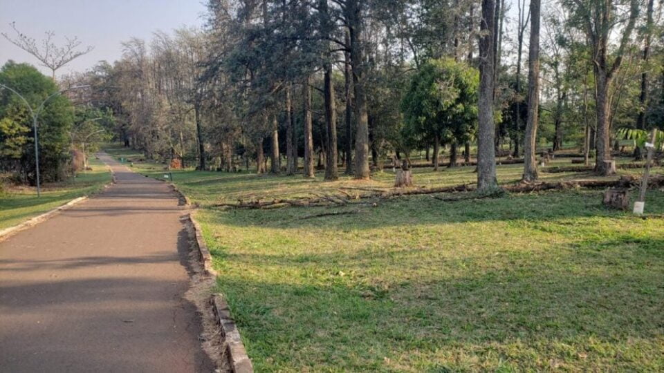 Maior Bosque Sensorial do Mundo Fica em Maringá