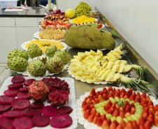 Saúde Pública Lança eBook sobre Doenças Provocadas por Alimentos