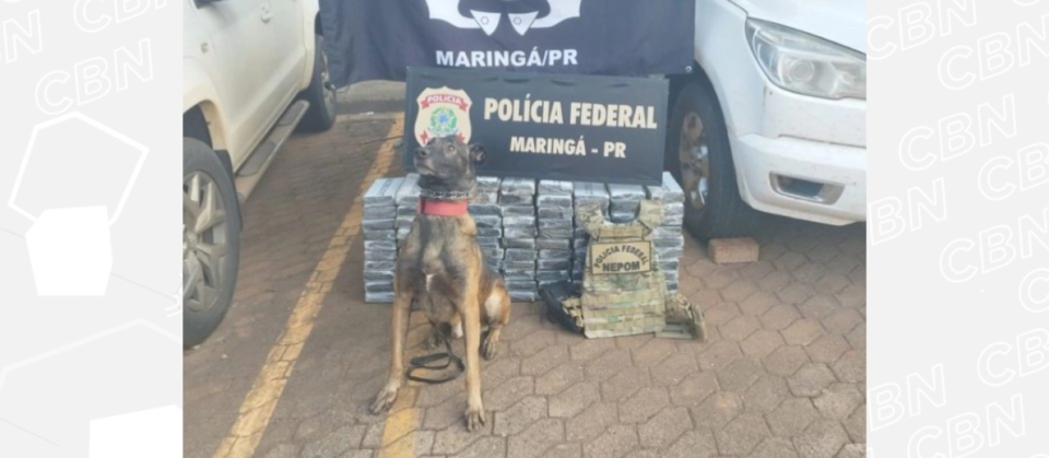 Apreensão de 100 Quilos de Cocaína pela Polícia Federal