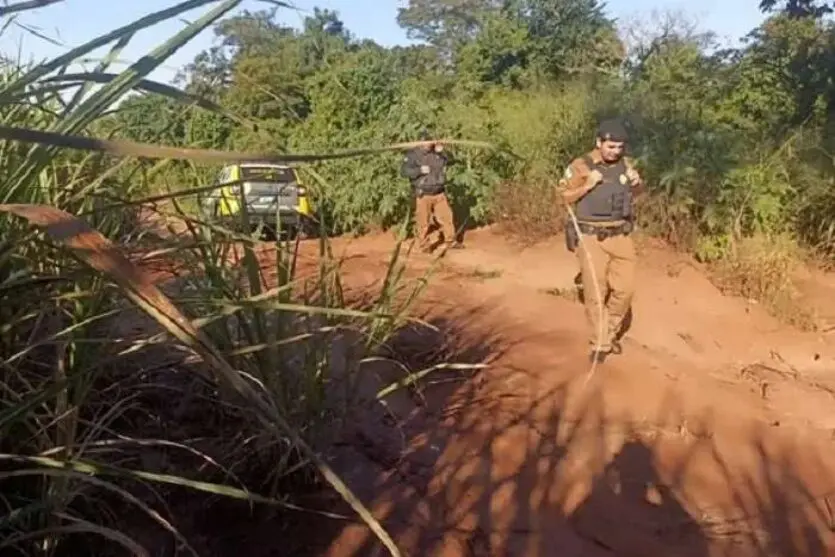 Jovem é Encontrado Decapitado em Milharal às Margens PR-552