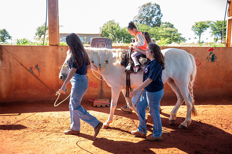 Terapia Assistida por Cavalos: Uma Iniciativa da UENP em Bandeirantes