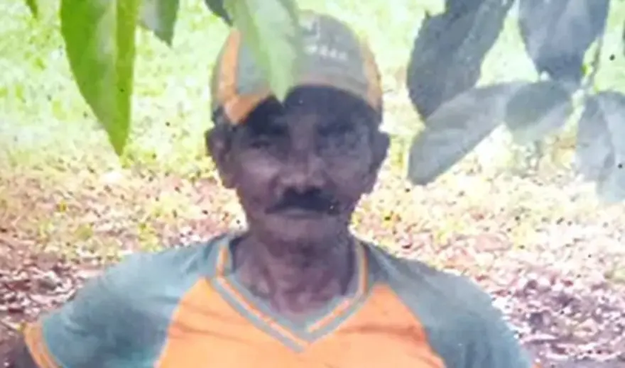 Agricultor de 72 anos falece após picada de cobra em Borrazópolis