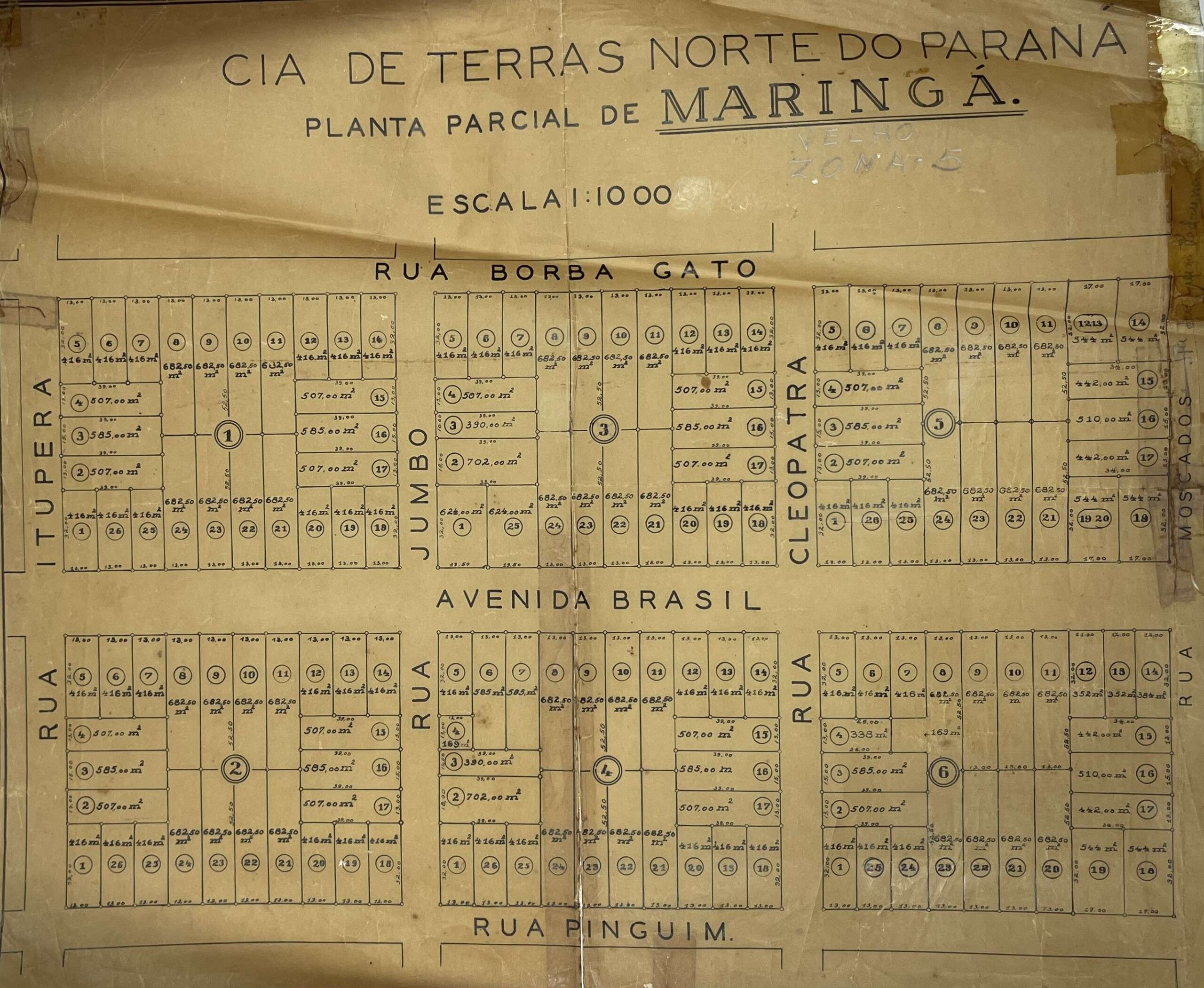 Você Conhece Maringá? Maria do Ingá existiu? O que os documentos revelam sobre a origem do nome Maringá