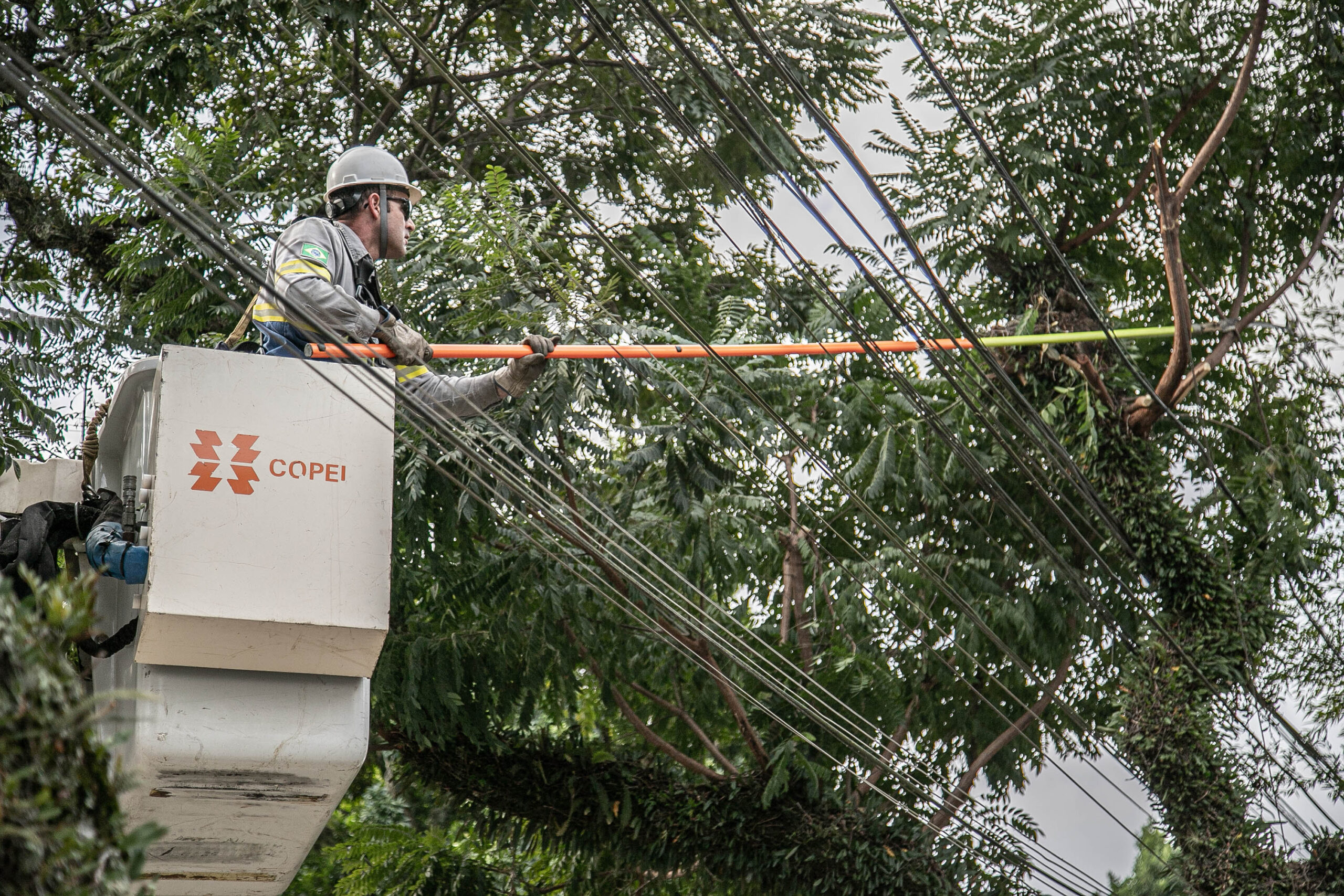 Copel intensifica podas em Maringá e Marialva; veja bairros e como pedir atendimento