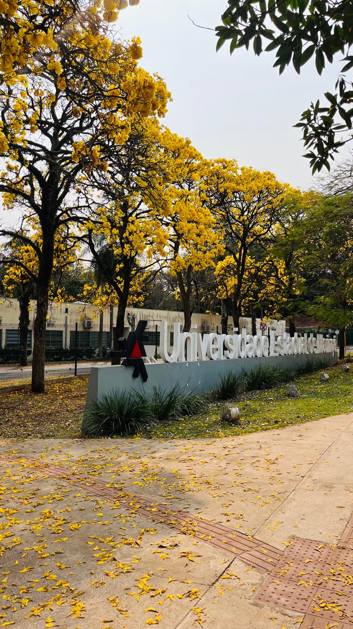 UEM abre seleção no PET/Economia com bolsa de R$ 700 e seis vagas voluntárias